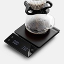 Touch Screen Scale