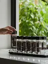  MUVNA 1/3Angel coffee bean canister 12 tubes-acrylic base