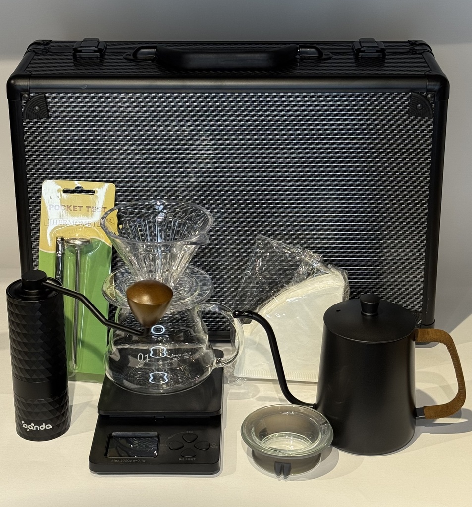 Suitcase V60 Bag
