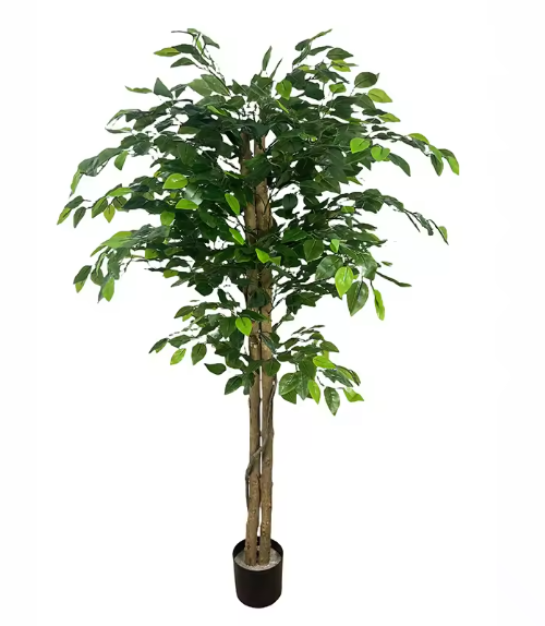 Artificial  Coffee Tree 