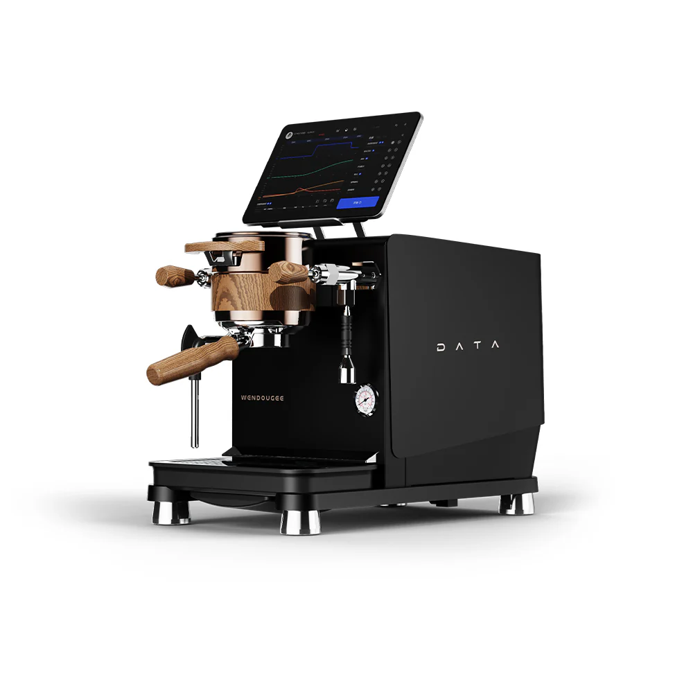 WENDOUGEE DATA-S Black