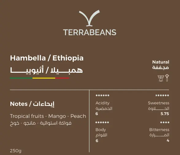 Terra Beans Hambella / Ethuopia (250g)