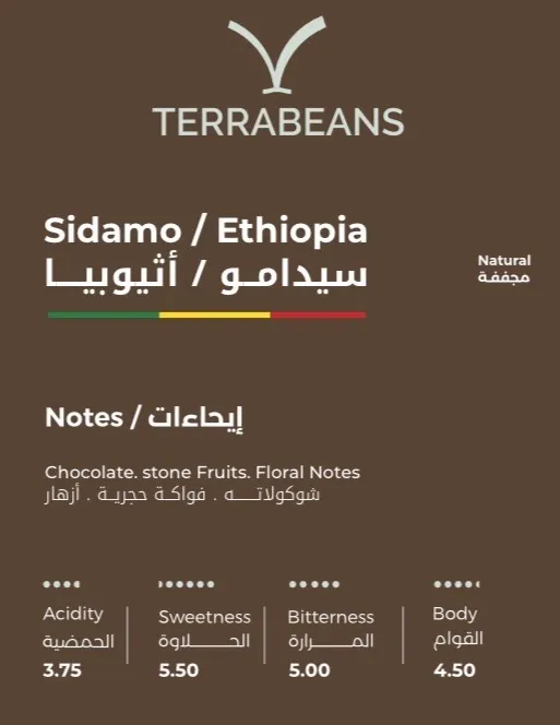 Terra Beans Sidamo / Ethiopia (250g)