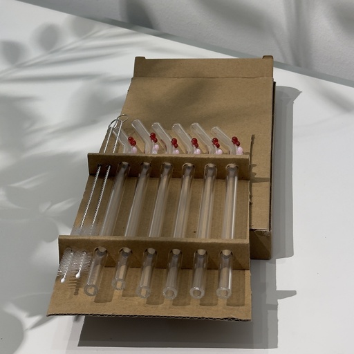 Glass Straws Set