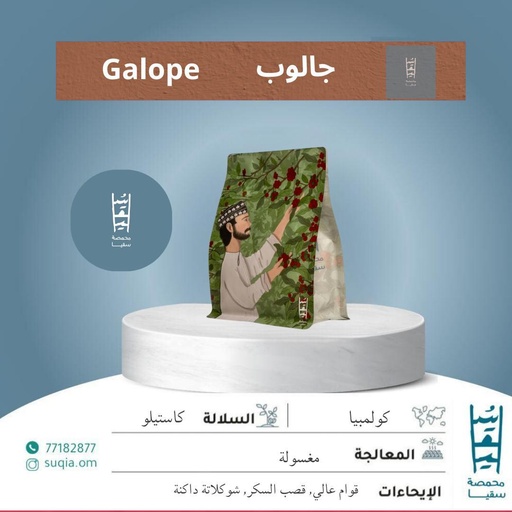 Suqia Galope (250g)