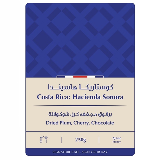 Signature Costa Rica Hecienda Sonora 250g