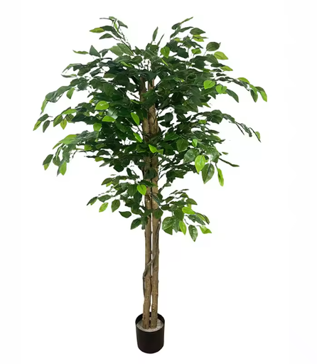 Artificial  Coffee Tree 