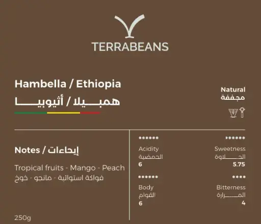 Terra Beans Hambella / Ethuopia (250g)