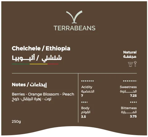 Terra Beans Chelchele / Ethiopia (250g)