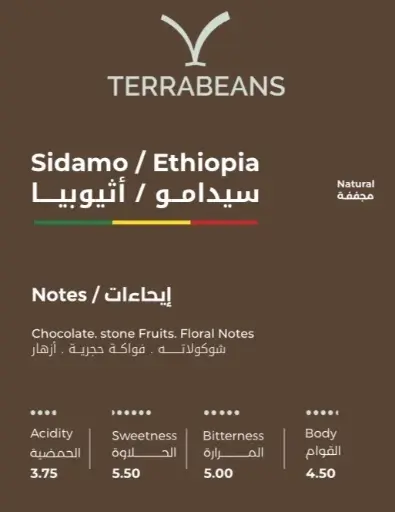 Terra Beans Sidamo / Ethiopia (250g)